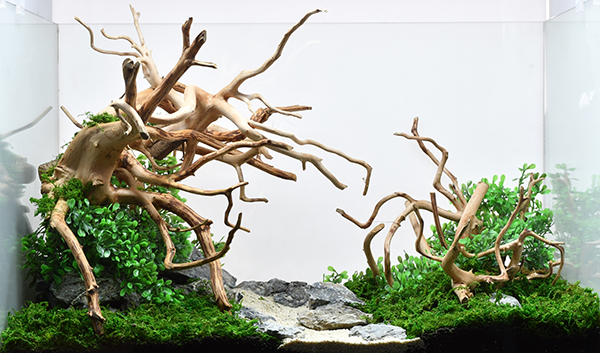 アクアリウム用の石材素材