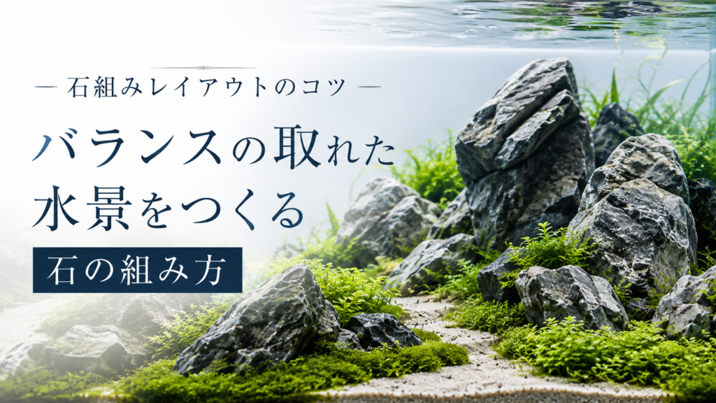 石組みレイアウトのコツ｜バランスの取れた水景をつくる石の組み方